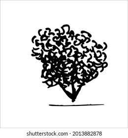 Tree vector illustration. Black tree doodles isolated on white background.