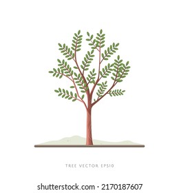Tree vector illustration with branches and leaves on white background