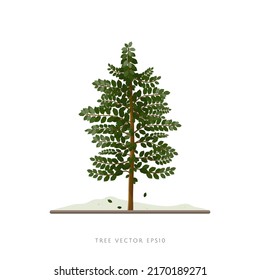 Baum-Vektorgrafik mit Ästen und Blättern auf weißem Hintergrund