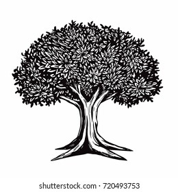 Tree Vector Illustration Drawing Logo Template