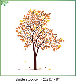 tree vector illustration with flat design concept