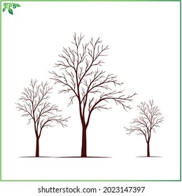 tree vector illustration with flat design concept