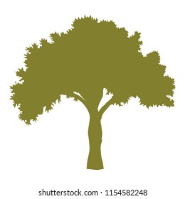 Tree vector illustration. Green tree.