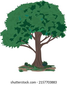 Tree vector illustration. Green tree vector illustration