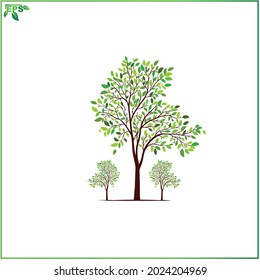 tree vector illustration, green tree flat design concept