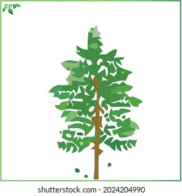 tree vector illustration, green tree flat design concept