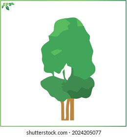 tree vector illustration, green tree flat design concept