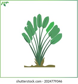 tree vector illustration, green tree flat design concept