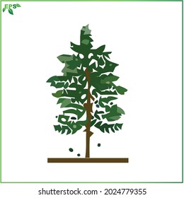 tree vector illustration, green tree flat design concept