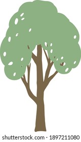 Tree vector . Illustration of a green tree. Image of a tree with foliage vector. Tree trunk vector. Nature. Ecology