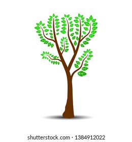 Tree vector illustration with green leaves and roots, can use for logo inspiration, design element and decoration isolated on white background