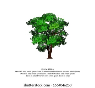 Tree vector illustration. tree with green leaves isolated.