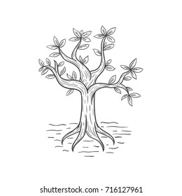 tree vector illustration hand draw sketch vintage
