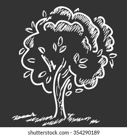 Tree vector illustration. Hand drawing sketch. Chalkboard drawing effect.
