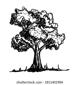 Baum, Vektorgrafik, handgezeichnet, Skizze einzeln auf weißem Hintergrund