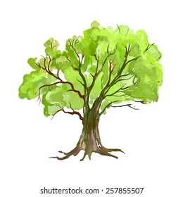 Tree vector illustration  hand drawn  painted watercolor