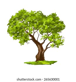 Tree vector illustration  hand drawn  painted watercolor