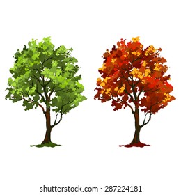 Tree vector illustration  hand drawn  painted watercolor