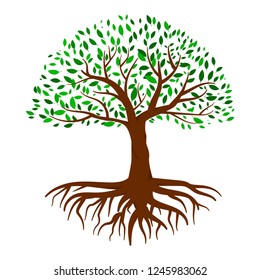 Tree vector Illustration. Tree icon symbol, tree of life  logo concept. 