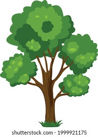 Tree vector illustration with isolated background.
