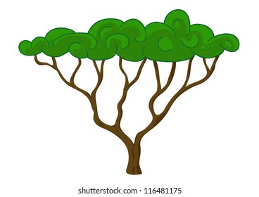 Tree vector illustration. Isolated on white