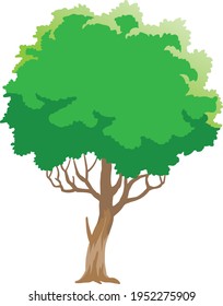 tree vector illustration isolated on white background 