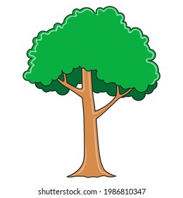 tree vector illustration,
isolated on white background.top view