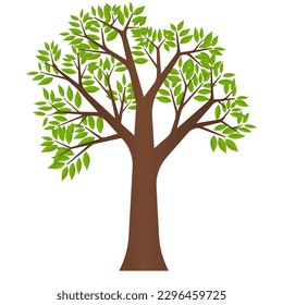 Tree. Vector Illustration Isolated on White Background. 