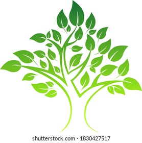 tree vector illustration leaves ecology