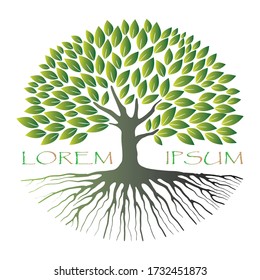 Tree vector illustration. Many leaves, branches, and roots isolated on white background. Oak symbol for logo