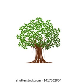 Tree vector illustration, oak tree for logo templates