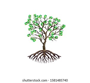 Tree vector illustration. olive tree vector isolated