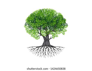  tree vector illustration on white background
