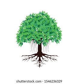 tree vector illustration. root of banyan tree on white background