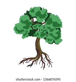 tree vector illustration. roots of banyan tree. mangrove plant