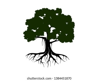 tree vector illustration. roots of banyan tree. mangrove plant