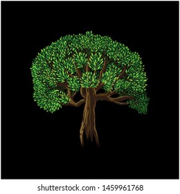 tree vector illustration. roots of banyan tree. mangrove plant