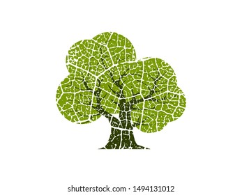tree vector illustration. roots of banyan tree. mangrove plant
