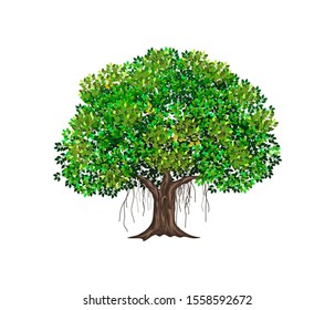 	
tree vector illustration. roots of banyan tree. mangrove plant