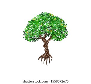 	
tree vector illustration. roots of banyan tree. mangrove plant