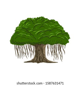 Tree Vector Illustration Roots Banyan Tree Stock Vector (Royalty Free ...