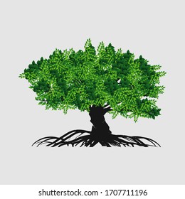 illustration vectorielle de l'arbre. racines d'un arbre banyan. mangrove.