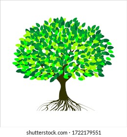 tree vector illustration. roots of banyan tree. mangrove plant eps 10.