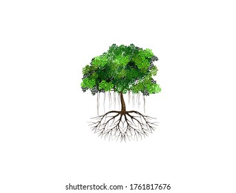 tree vector illustration. roots of banyan tree. mangrove plant
