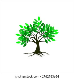tree vector illustration. roots of banyan tree. mangrove plant