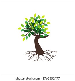 tree vector illustration. roots of banyan tree. mangrove plant