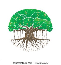 tree vector illustration. roots of banyan tree. indian cultures