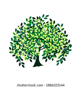 tree vector illustration. roots of banyan tree. mangrove plant