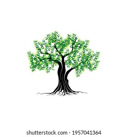 tree vector illustration. roots of banyan tree. mangrove plant
