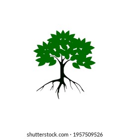 tree vector illustration. roots of banyan tree. mangrove plant